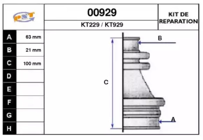 SNRA 00929