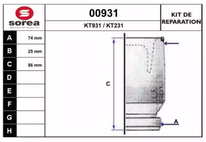 SNRA 00931