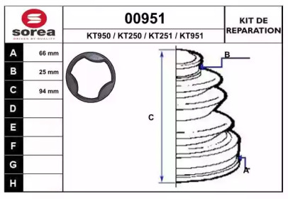 SNRA 00951