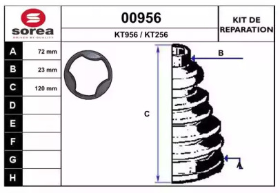 SNRA 00956