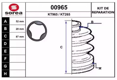 SNRA 00965