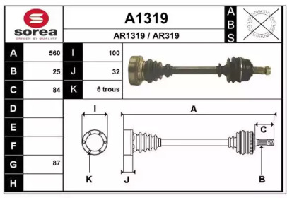 SNRA A1319