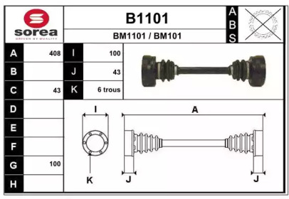 SNRA B1101