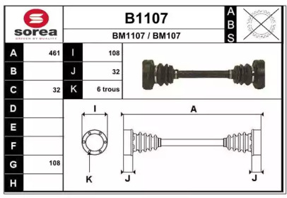 SNRA B1107