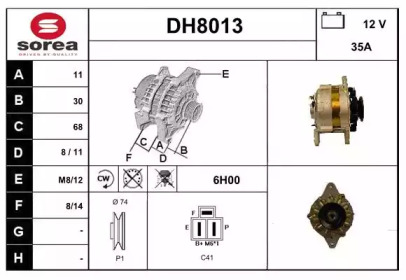 SNRA DH8013