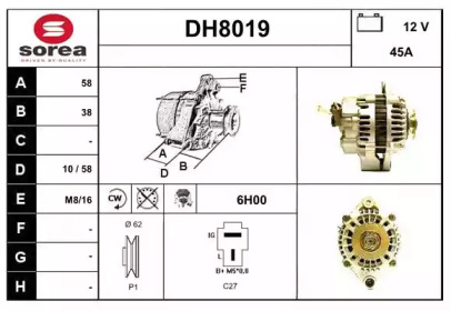 SNRA DH8019