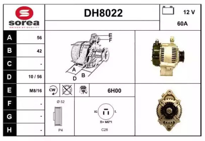 SNRA DH8022