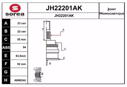 SNRA JH22201AK