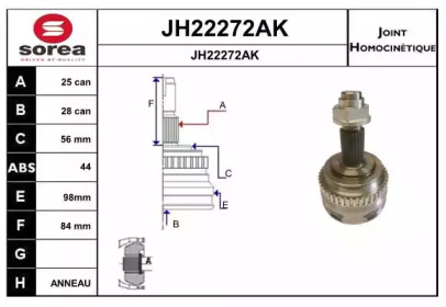 SNRA JH22272AK