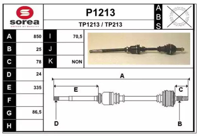 SNRA P1213