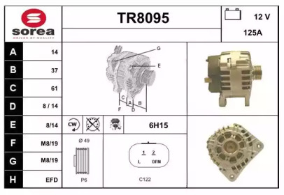 SNRA TR8095