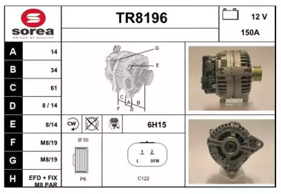 SNRA TR8196