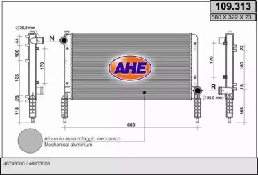 AHE 109.313