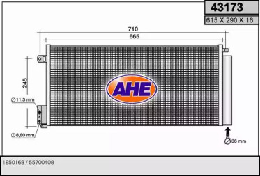 AHE 43173