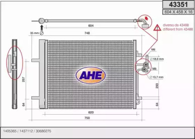 AHE 43351