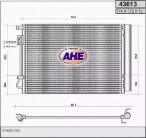 AHE 43613