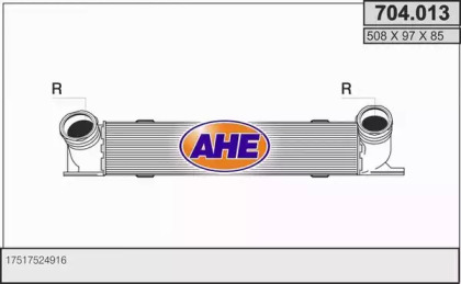 AHE 704.013