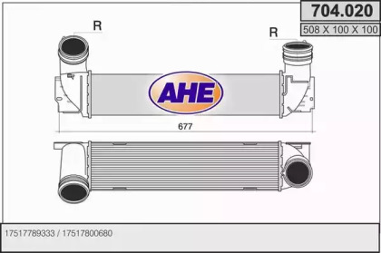 AHE 704.020