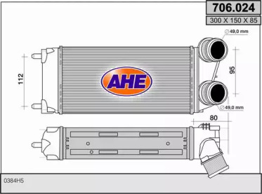 AHE 706.024