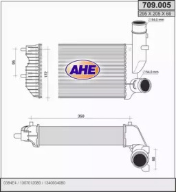 AHE 709.005