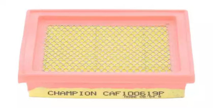 CHAMPION CAF100619P