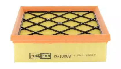 CHAMPION CAF100936P