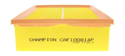 CHAMPION CAF100814P