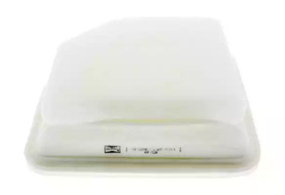 champion caf100874p