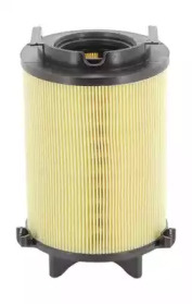 champion caf100466c