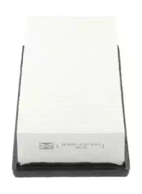champion caf100501p