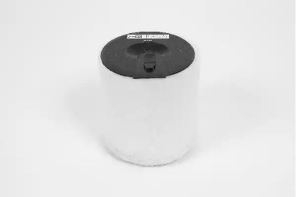 champion v458606