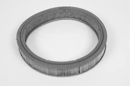 champion w169606