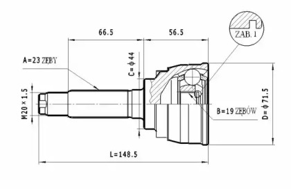 STATIM C.003