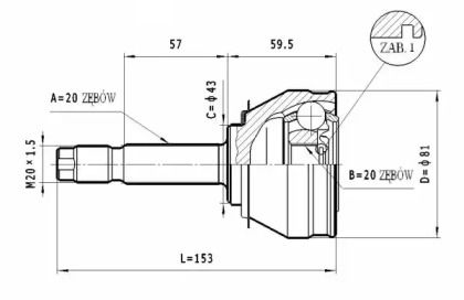 STATIM C.005