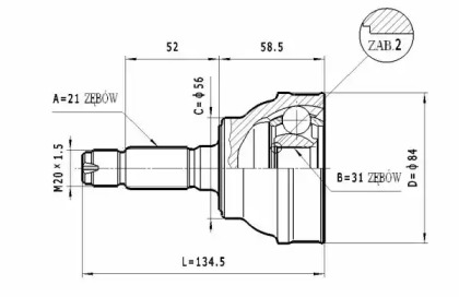 STATIM C101