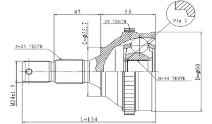 STATIM C.116