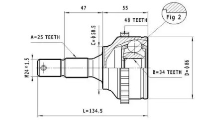 STATIM C.117