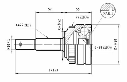 STATIM C.237