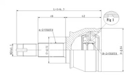 STATIM C.326