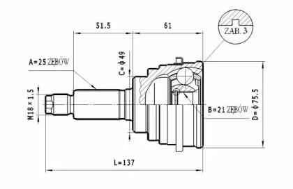 STATIM C.637