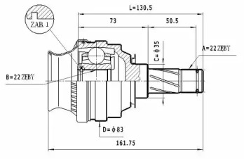 STATIM CW.030