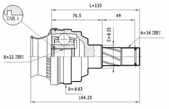 STATIM CW.035