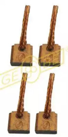 GEBE 011731