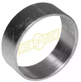 GEBE 120910