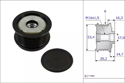 FISPA 455231