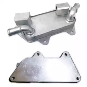 FISPA 590089