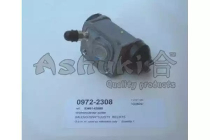 ASHUKI 0972-2308