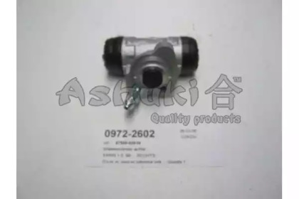 ASHUKI 0972-2602