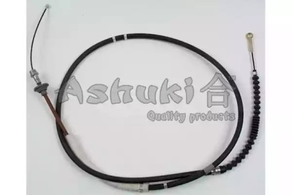 ASHUKI 1173-6302