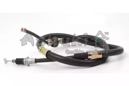 ASHUKI 1176-4206